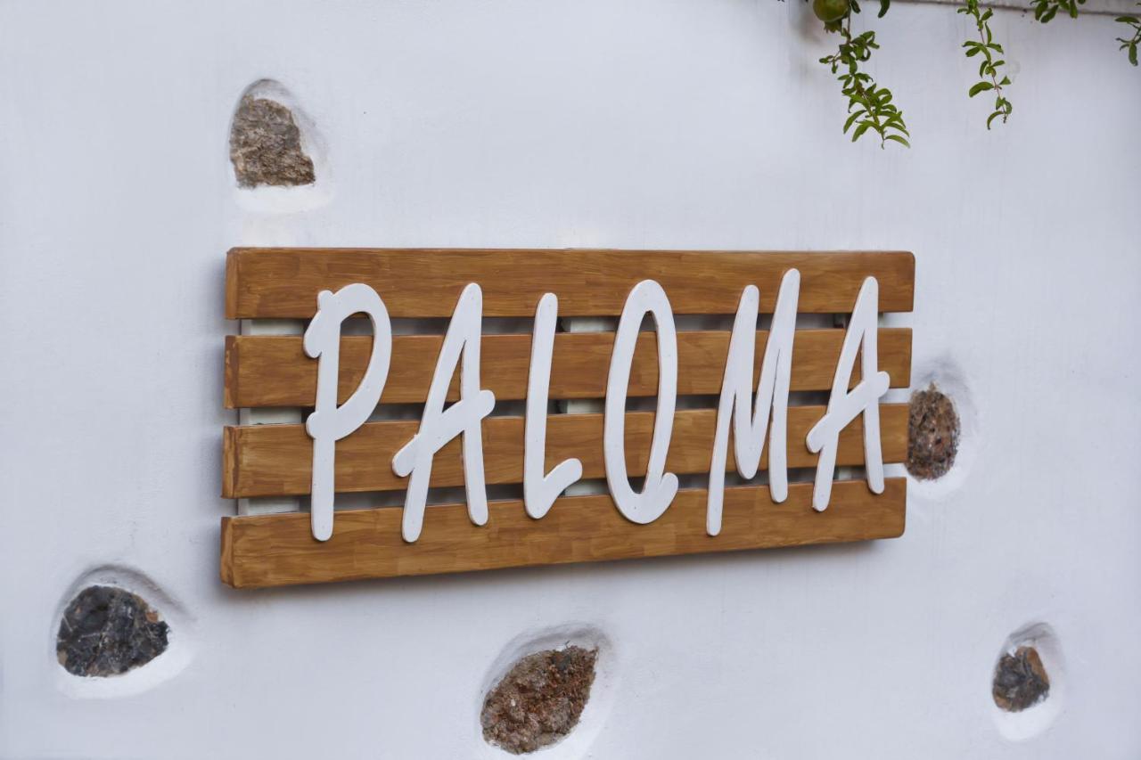 Paloma Luxury Studios Panormos  Eksteriør bilde